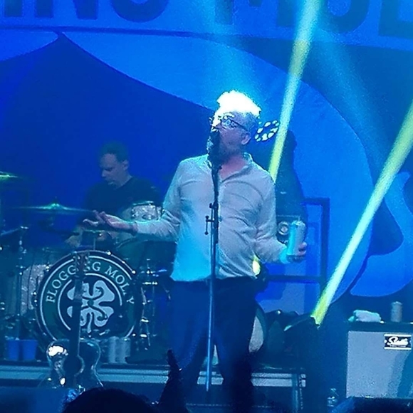 Meet your Posher, David - Picture 6 of 17